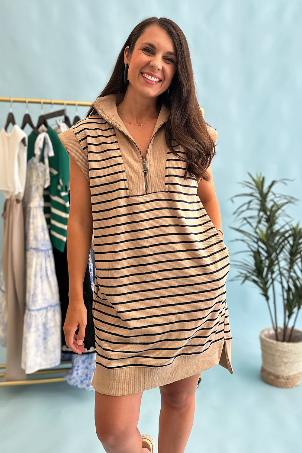 Zip Up SS Dress Taupe Stripe