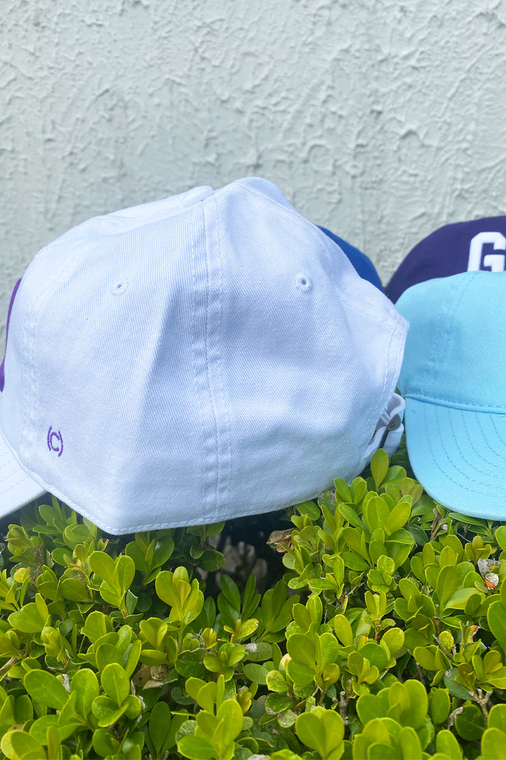 GVL Dad Hat